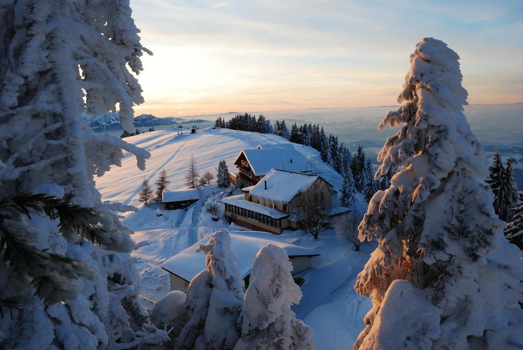 Kraeuterhotel Edelweiss Rigi Kaltbad Exterior foto