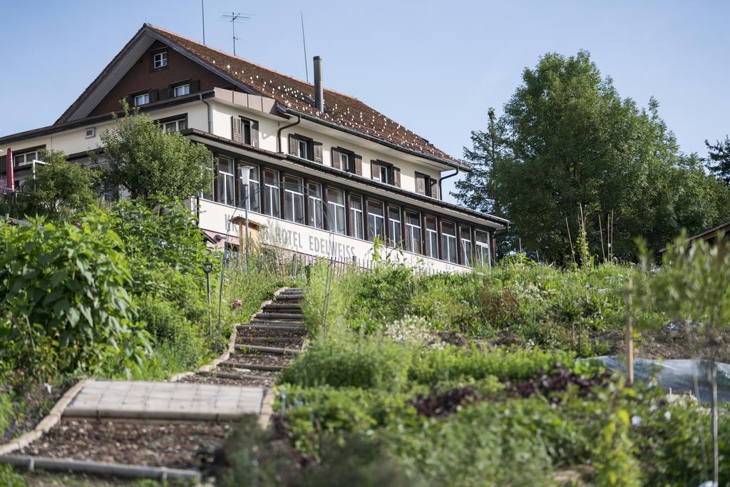 Kraeuterhotel Edelweiss Rigi Kaltbad Exterior foto